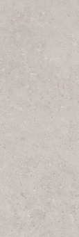 фото 14053R Риккарди серый светлый матовый обрезной 40x120x1 керамическая плитка КЕРАМА МАРАЦЦИ